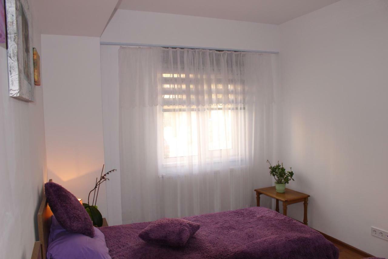 Still Apartament Craiova Bagian luar foto
